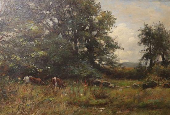 Ben Fisher Cattle in a field 15.5 x 23.5in.